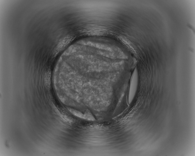 X0000096470586200802211152