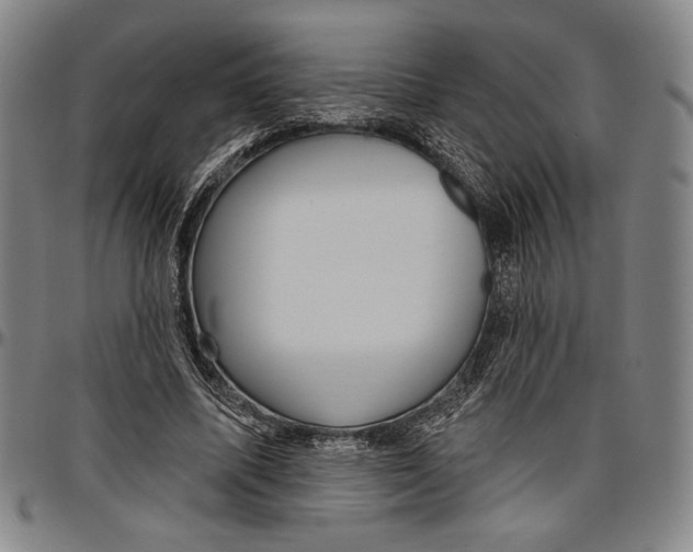 X0000096470587200802211152