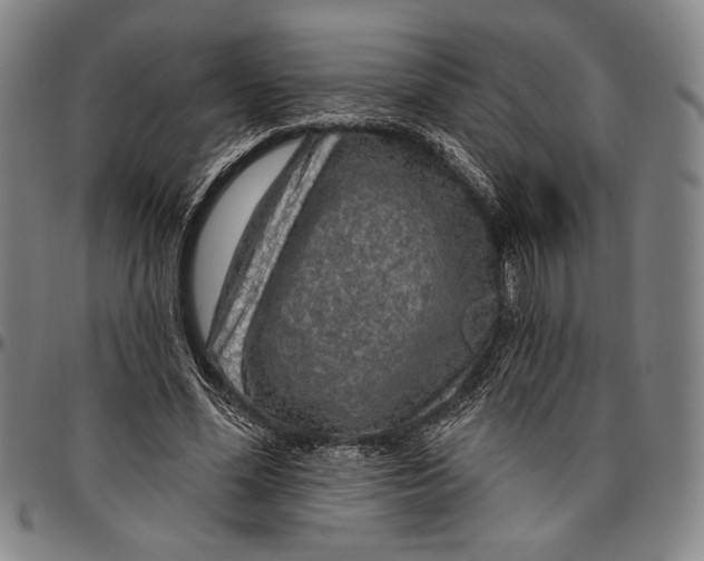 X0000096470588200802211152