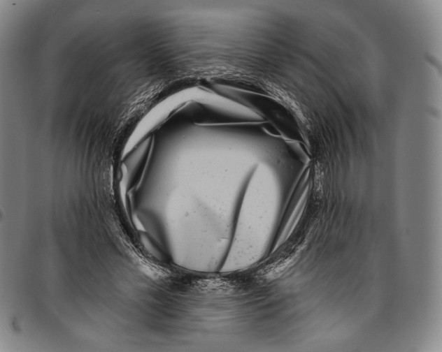 X0000096470589200802211152