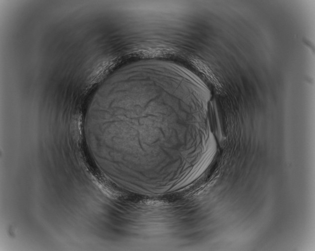 X0000096470590200802211152