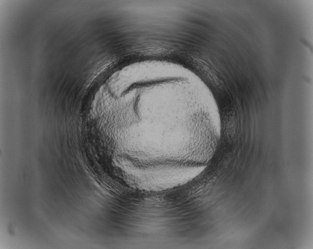 X0000096470591200802211152
