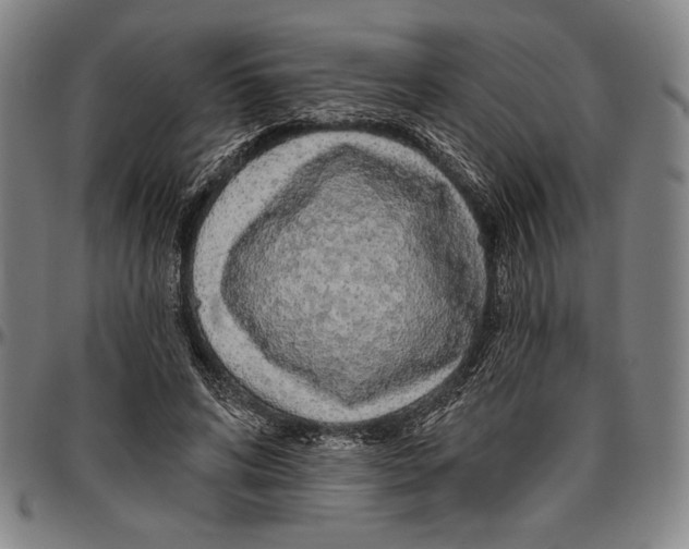 X0000096470592200802211152
