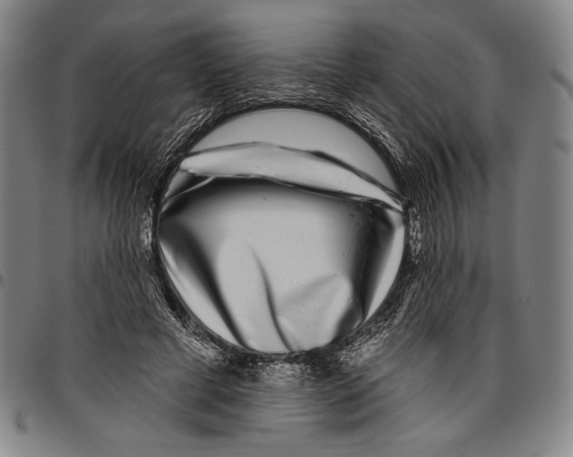 X0000096470593200802211152