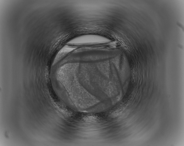 X0000096470594200802211152