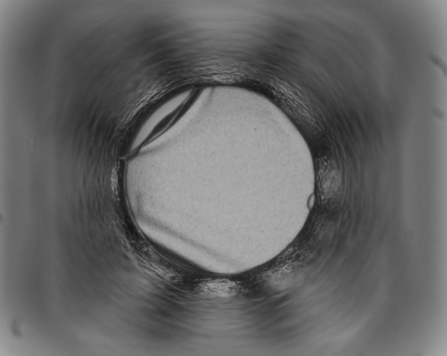 X0000096470595200802211152