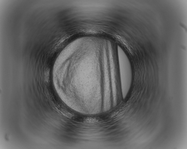 X0000096470596200802211152