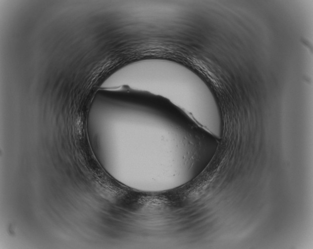 X0000096470597200802211152