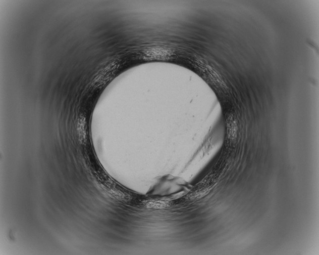 X0000096470599200802211152