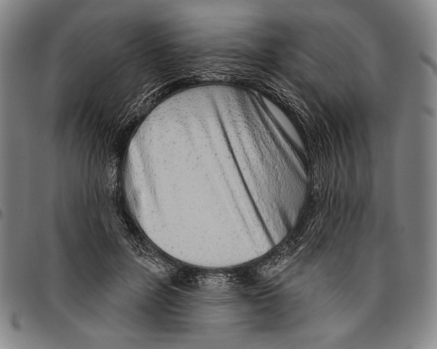 X0000096470600200802211152