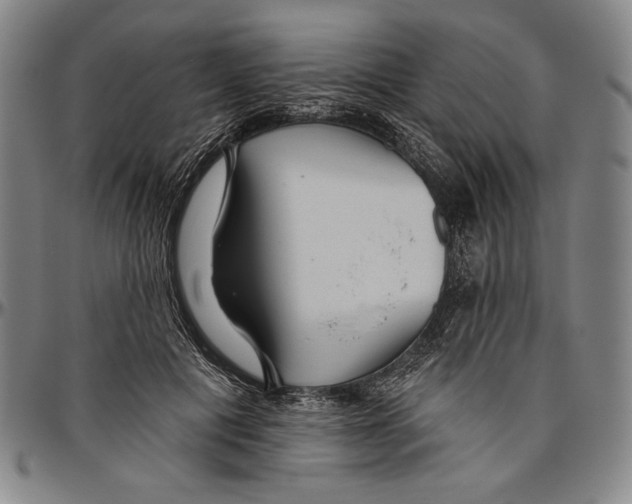 X0000096470601200802211152