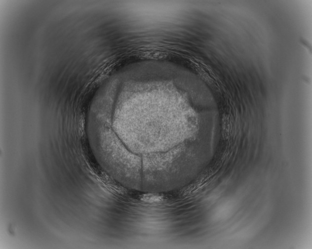 X0000096470602200802211152