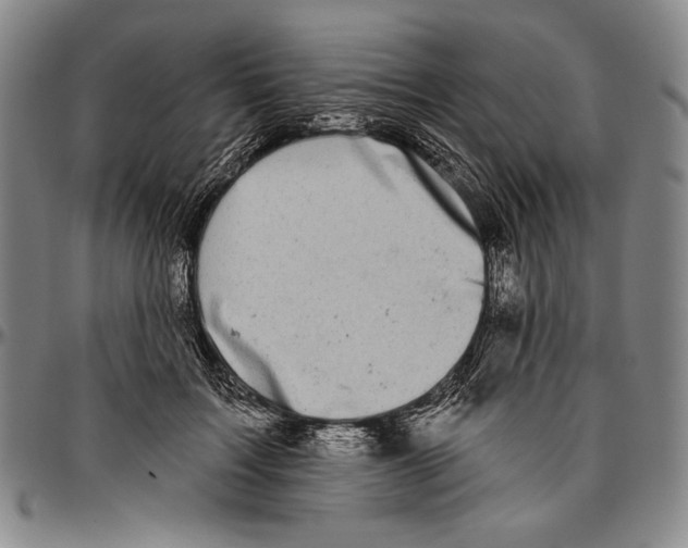 X0000096470603200802211152