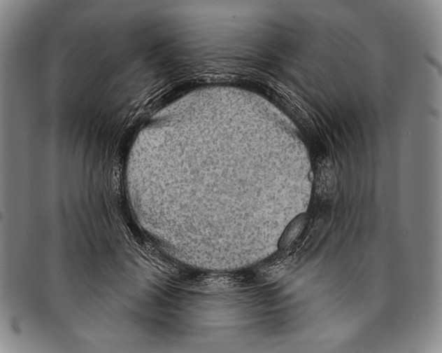 X0000096470604200802211152