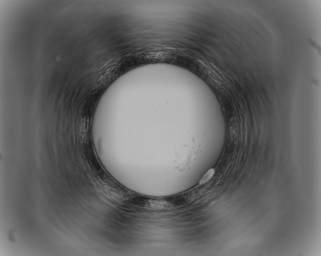 X0000096470605200802211152