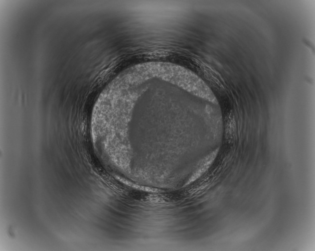 X0000096470608200802211152