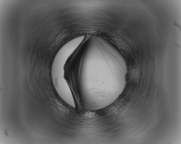 X0000096470609200802211152