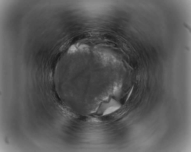 X0000096470610200802211152