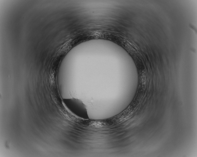 X0000096470611200802211152