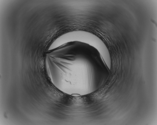 X0000096470613200802211152