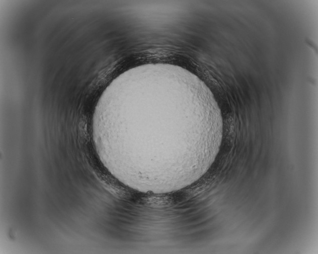 X0000096470615200802211152