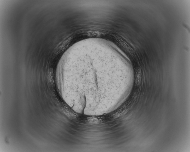X0000096470616200802211152