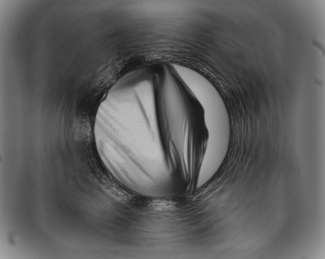 X0000096470617200802211152