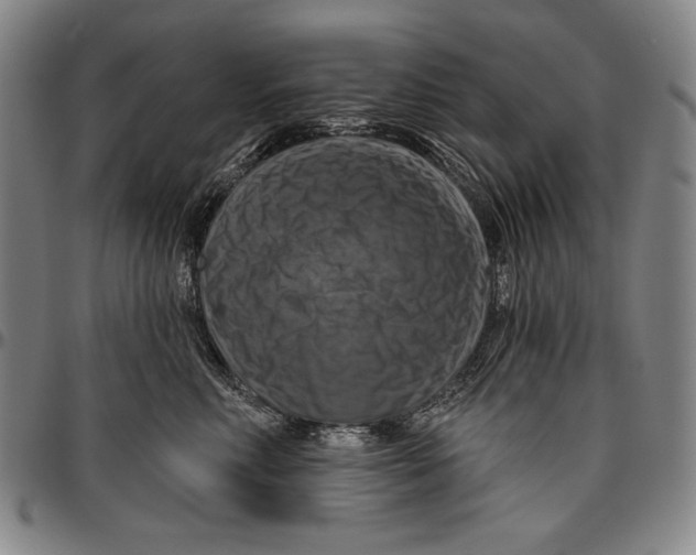 X0000096470618200802211152