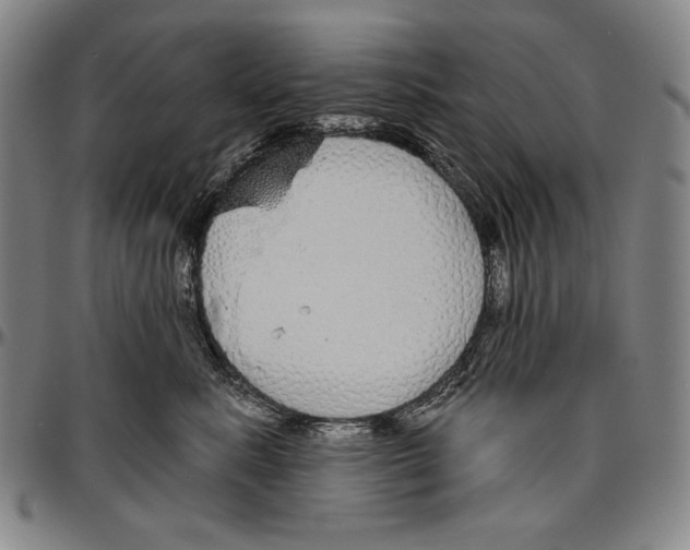 X0000096470619200802211152