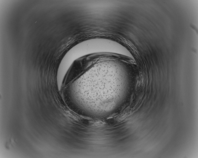 X0000096470621200802211152