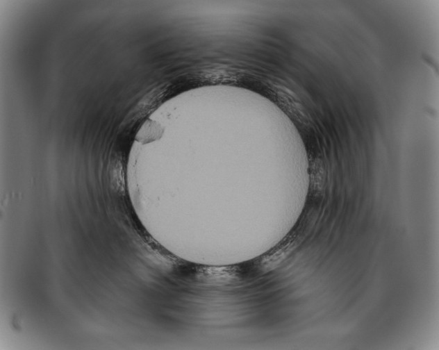 X0000096470622200802211152