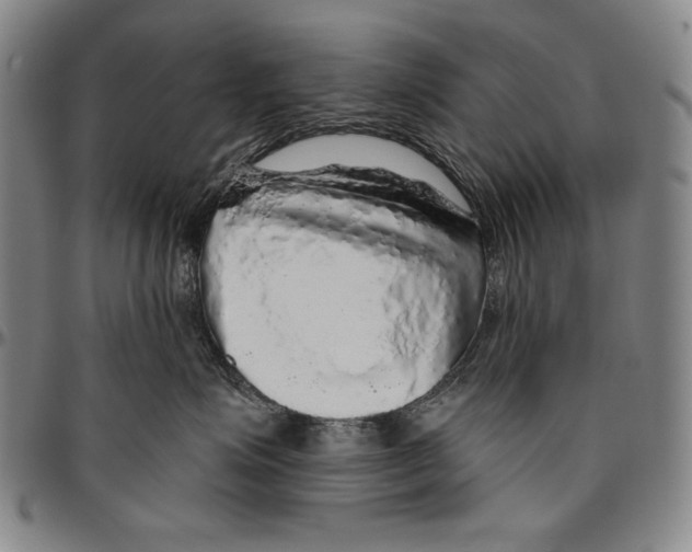 X0000096470623200802211152