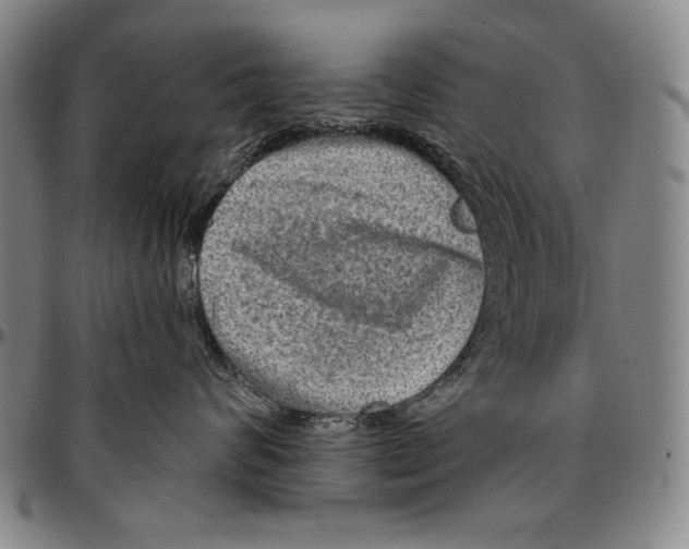 X0000096470624200802211152