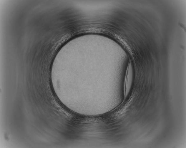 X0000096470625200802211151