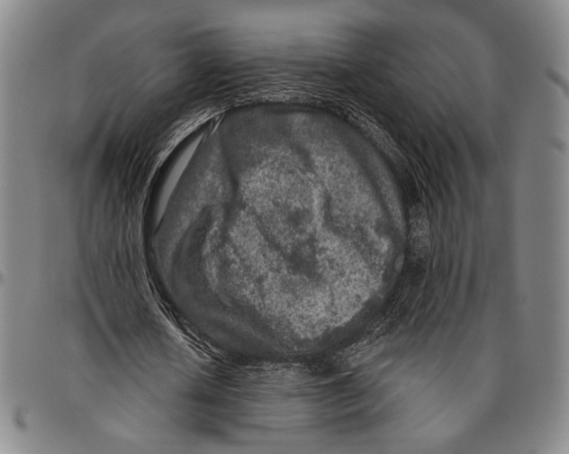 X0000096470626200802211151
