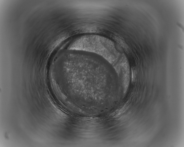 X0000096470627200802211151