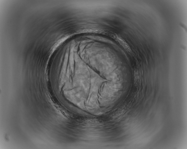 X0000096470628200802211151
