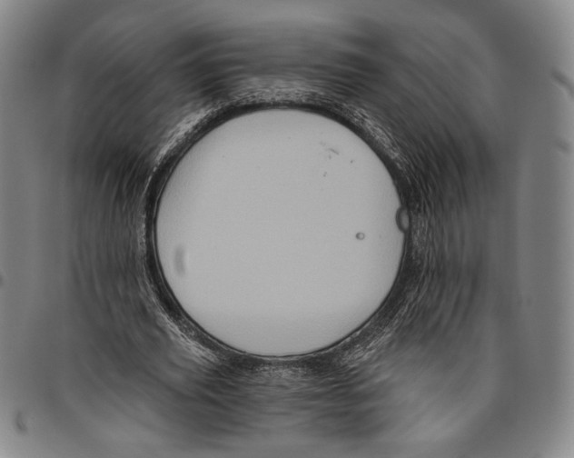 X0000096470629200802211151