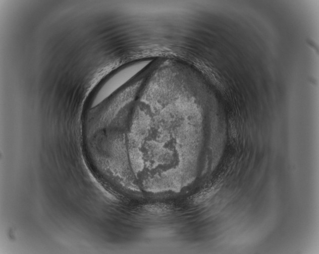 X0000096470630200802211151