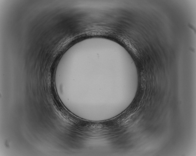 X0000096470631200802211151
