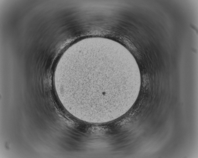 X0000096470632200802211151