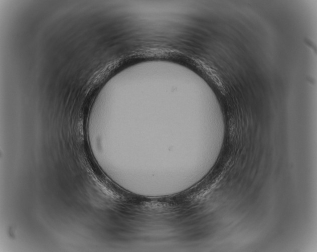 X0000096470633200802211151