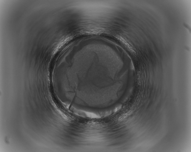 X0000096470634200802211151