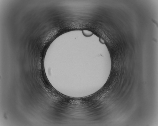 X0000096470635200802211151