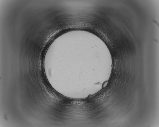 X0000096470636200802211151