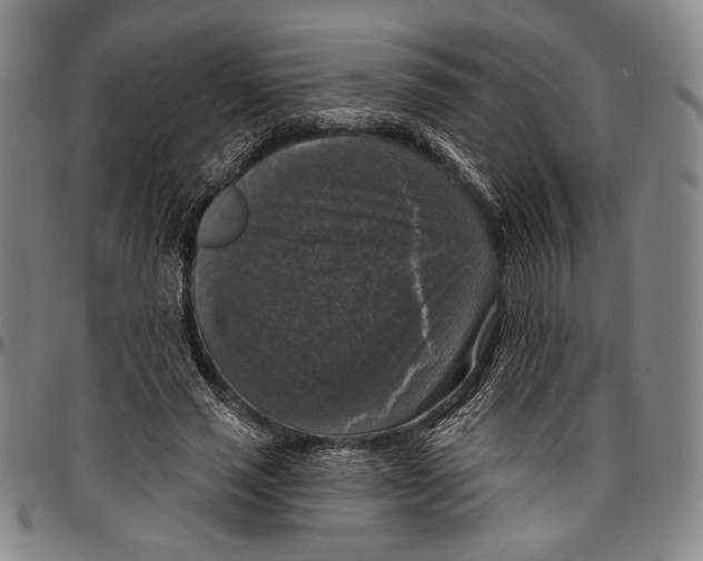 X0000096470637200802211151