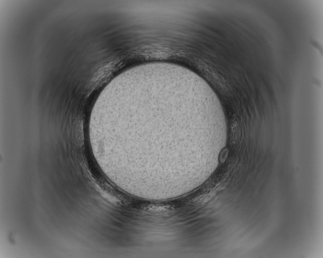 X0000096470638200802211151