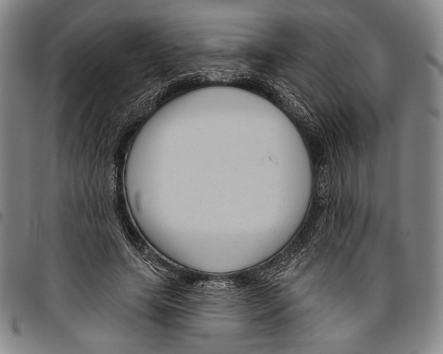 X0000096470639200802211151