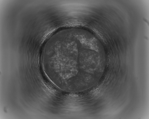 X0000096470640200802211151