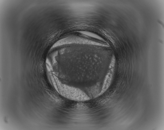 X0000096470641200802211151